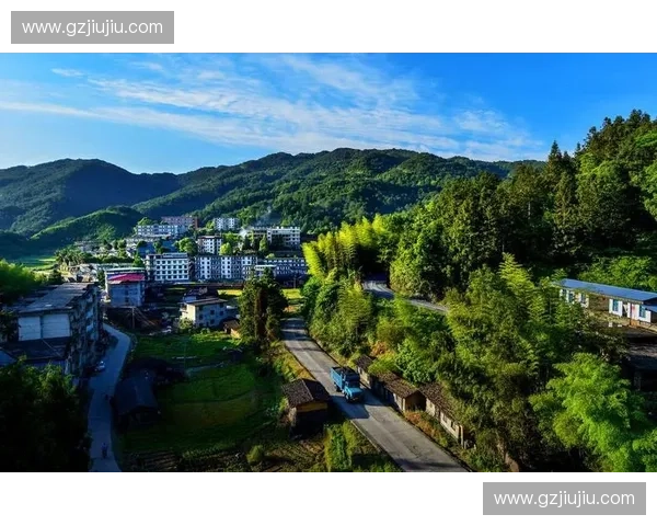 LOL选手何志鸿成长之路从青涩新秀到赛场荣耀与奋斗背后的故事